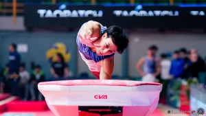 serie b 0735 simone ferraro ph